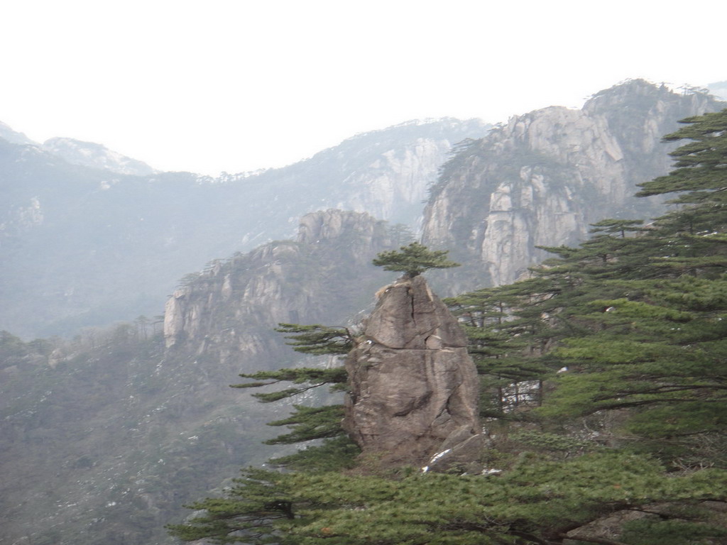 点此在新窗口浏览图片