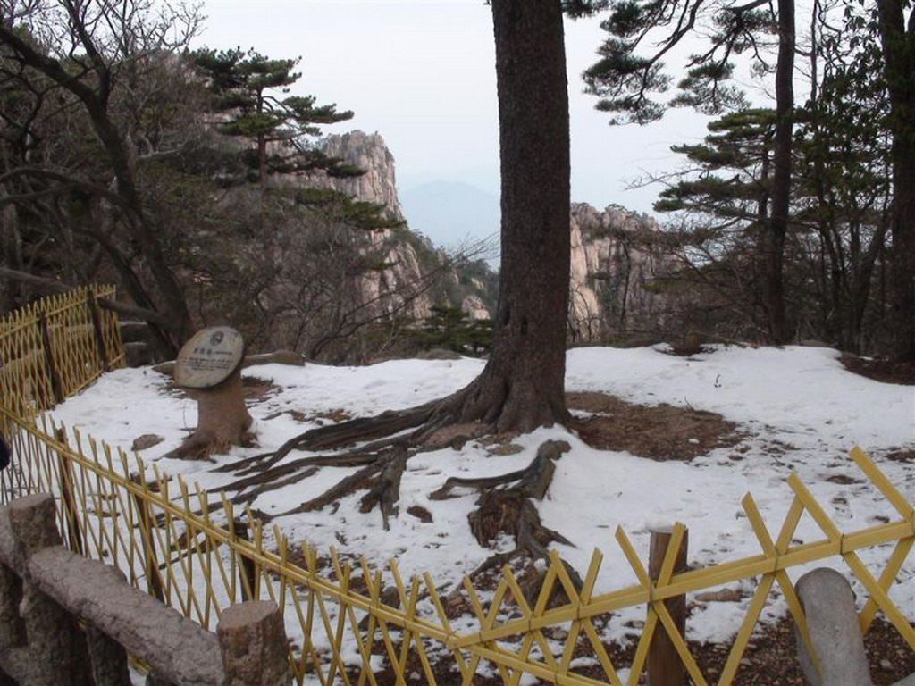 点此在新窗口浏览图片