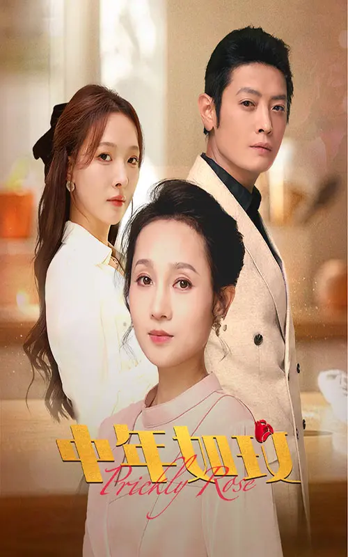 《中年如玫》全集高清完整版在线观看与剧情解析