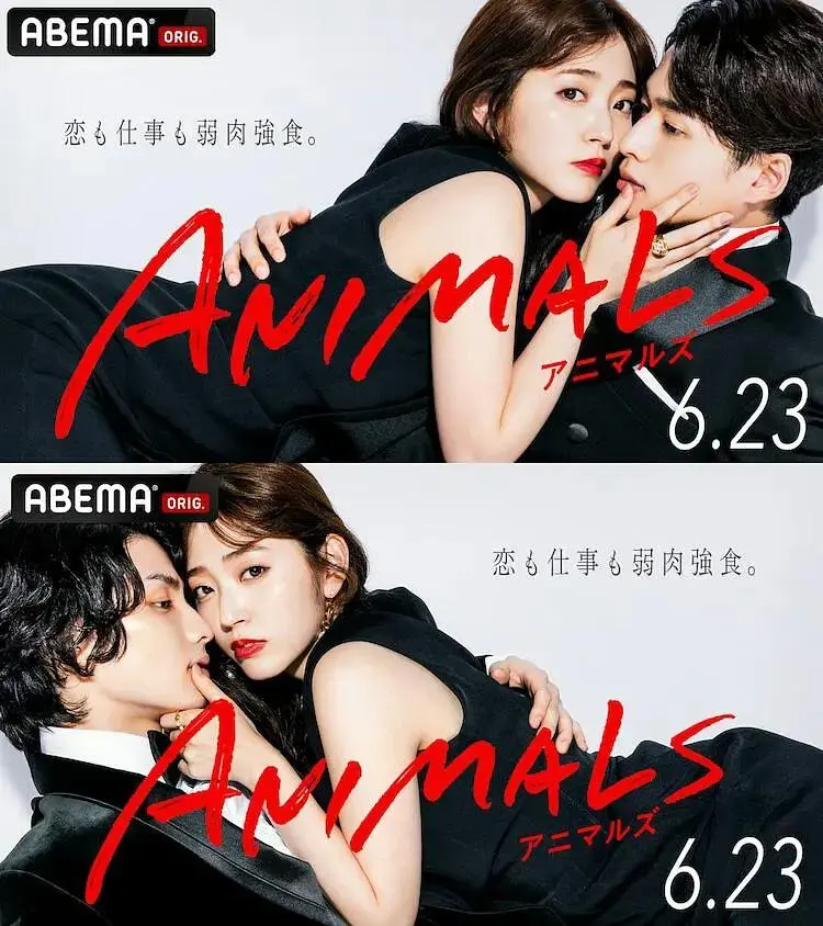 《动物2022》全集高清完整版在线观看与剧情解析