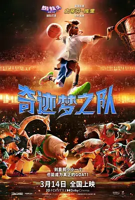 《奇迹梦之队》全集高清完整版在线观看与剧情解析