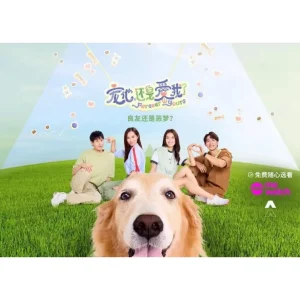 宠他,还是爱我?