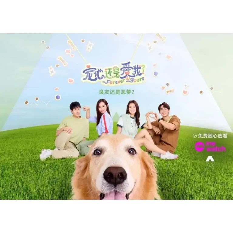 《宠他，还是爱我？》全集高清完整版在线观看与剧情解析