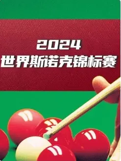 《斯诺克国锦赛 徐思6-9丁俊晖20241110》全集高清完整版在线观看与剧情解析