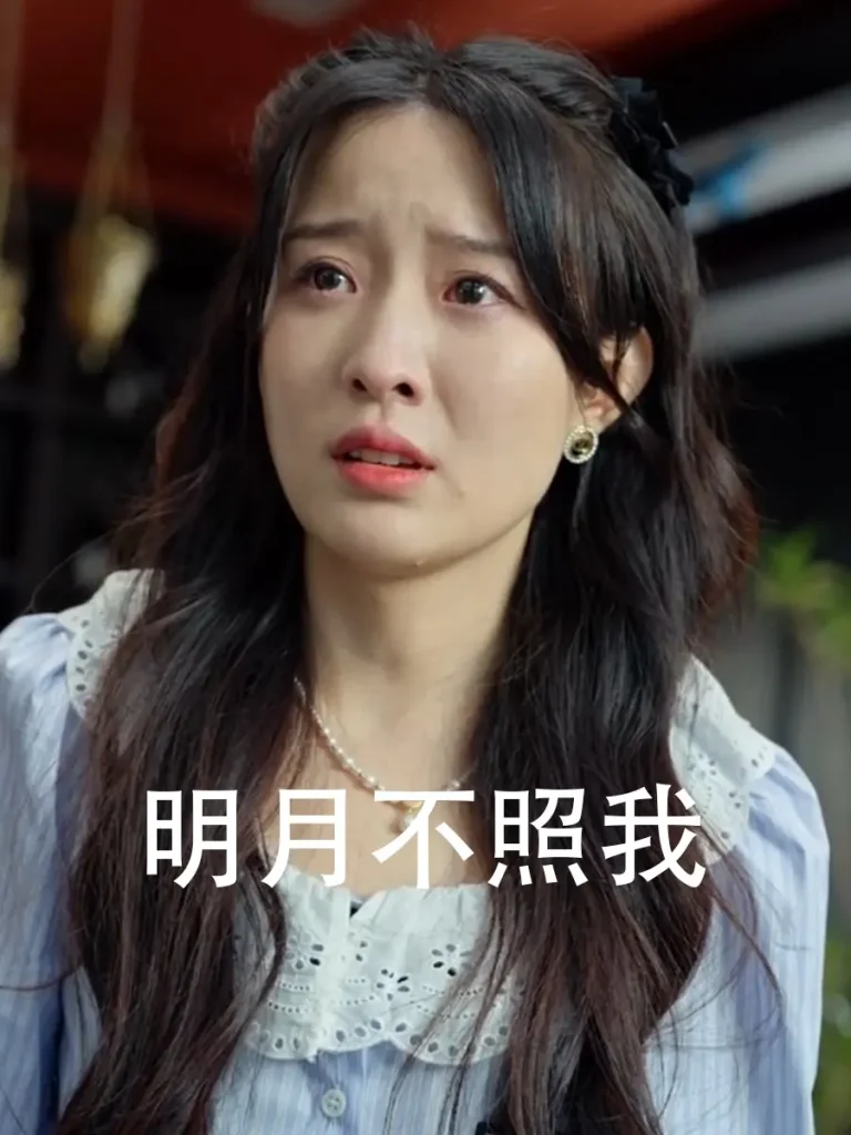 《明月不照我》全集高清完整版在线观看与剧情解析