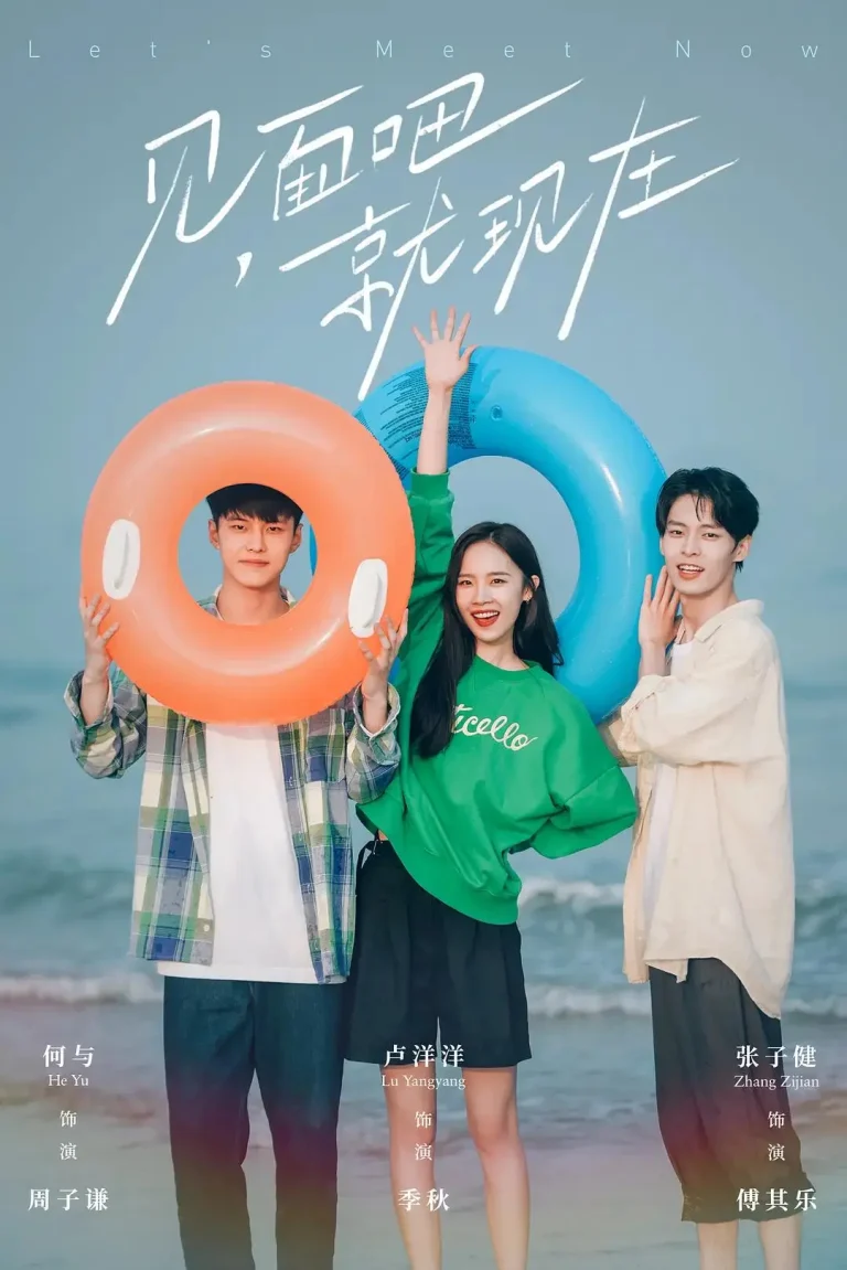 《见面吧就现在》全集高清完整版在线观看与剧情解析