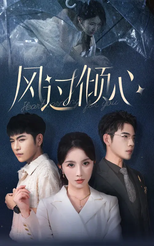 《风过倾心》全集高清完整版在线观看与剧情解析