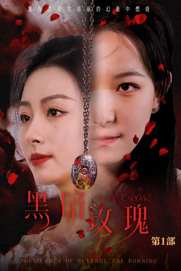 《黑暗玫瑰》全集高清完整版在线观看与剧情解析