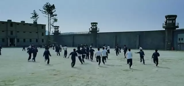 《撞墙几小时却等来致命意外》短片引爆社交平台传播 _ 情报图